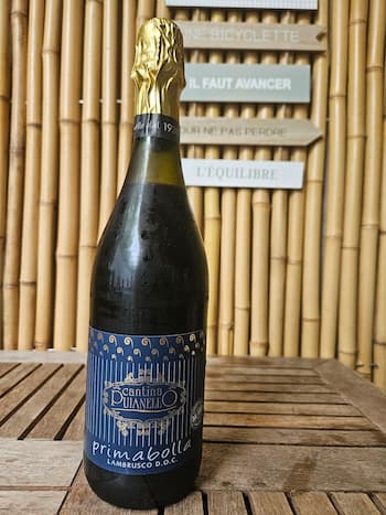 Lambrusco Rosso